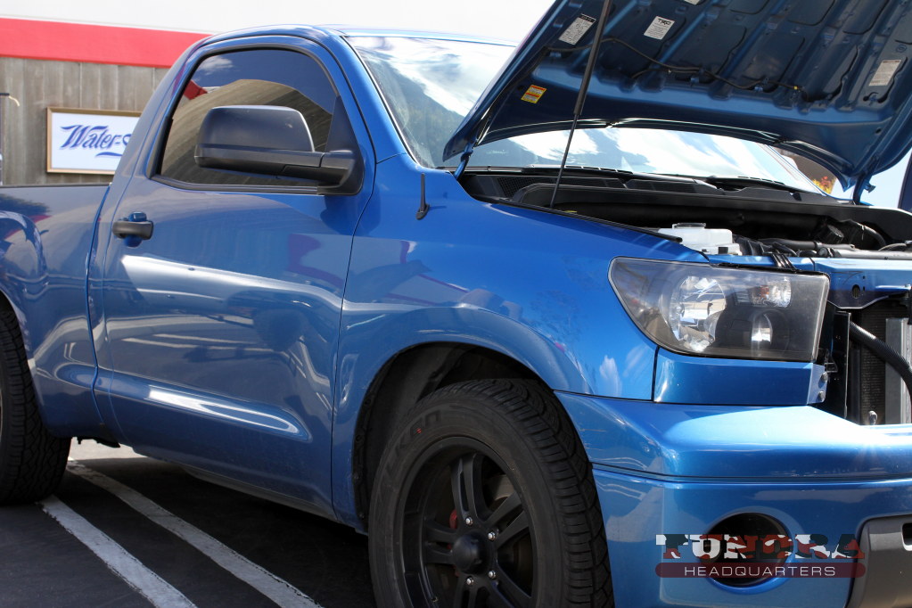 Frankys Doc RCSB Blue Tundra